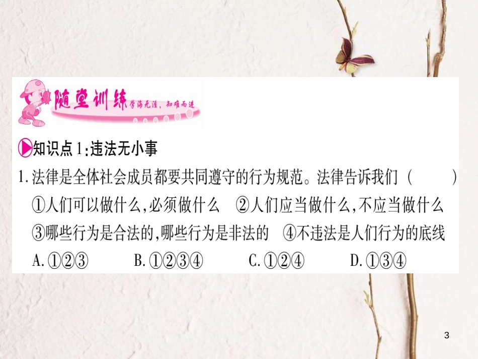 八年级道德与法治上册 第二单元 遵守社会规则 第五课 做守法的公民预习课件 新人教版_第3页