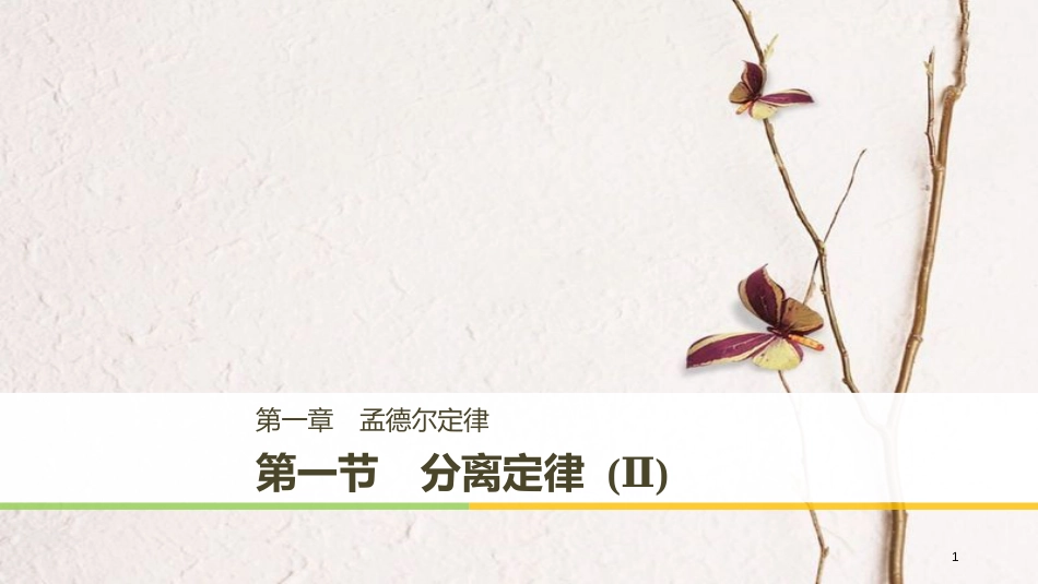 高中生物 第一章 孟德尔定律 第一节 分离定律（Ⅱ）课件 浙科版必修2_第1页