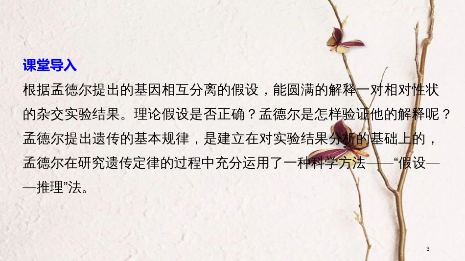 高中生物 第一章 孟德尔定律 第一节 分离定律（Ⅱ）课件 浙科版必修2_第3页
