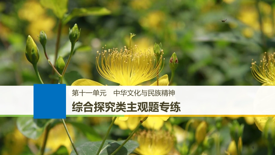 （江苏专版）2019届高考政治一轮复习 第十一单元 中华文化与民族精神综合探究类主观题专练课件 新人教版必修3_第1页