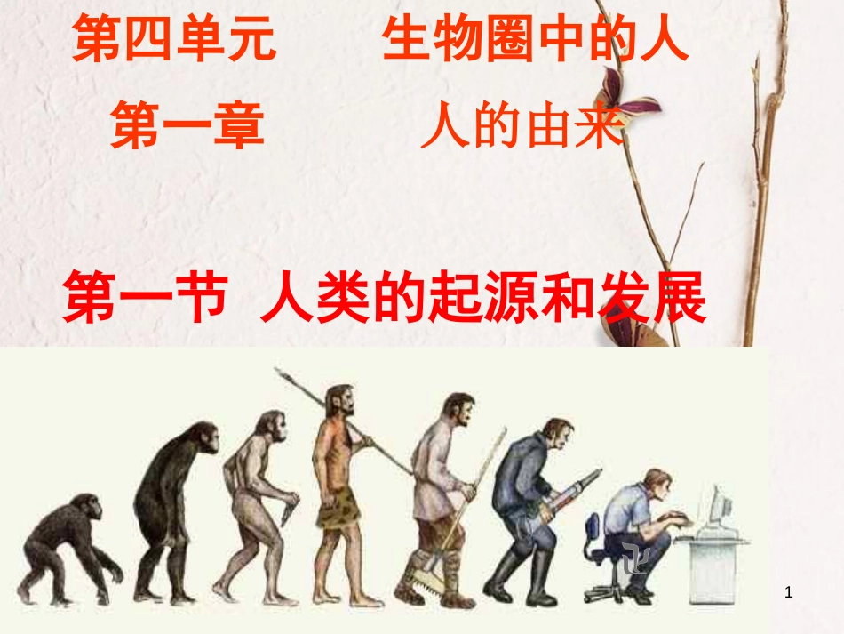 七年级生物下册 第四单元 第一章 第一节 人类的起源和发展课件 （新版）新人教版[共29页]_第1页