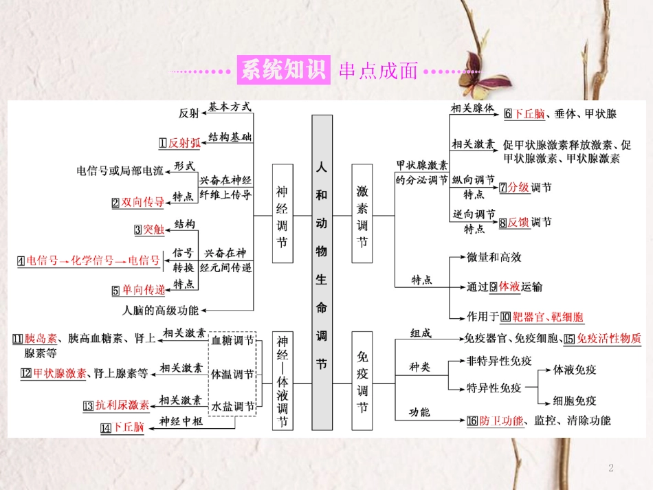 （全国通用）高考生物二轮复习 专题四 调节 串讲一 内环境稳态及调节 第1课时 基础自查课件_第2页