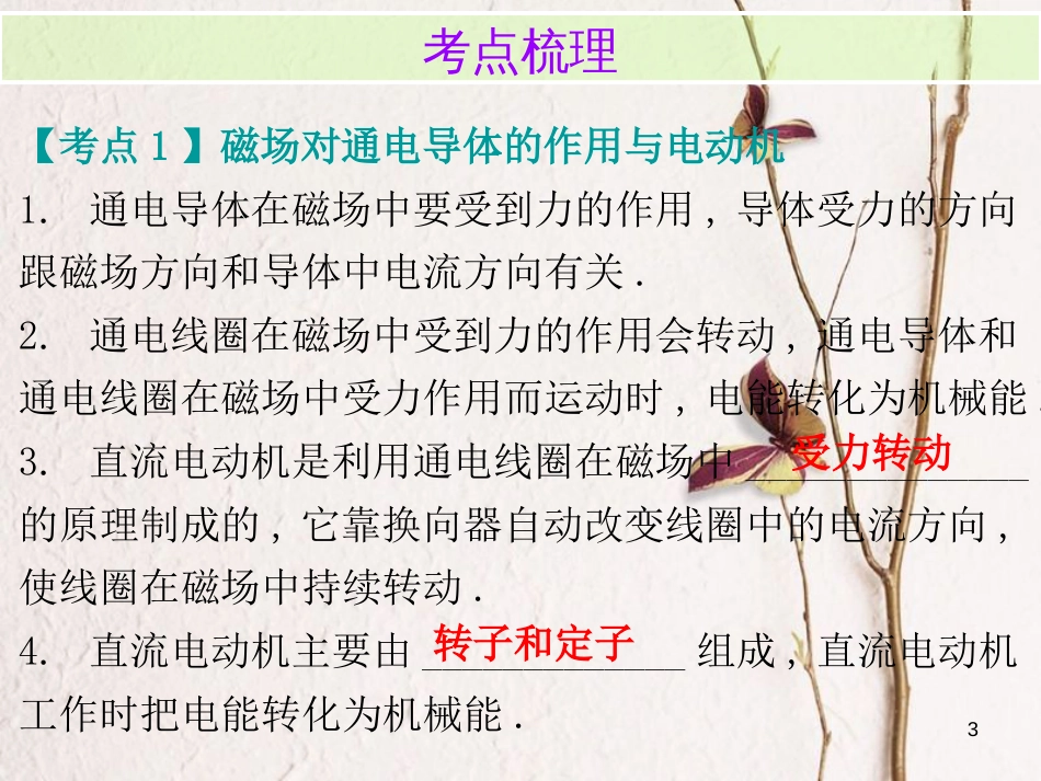 广东省中考物理总复习 第一部分 基础复习 第28课时 电动机与发电机内文部分课件_第3页