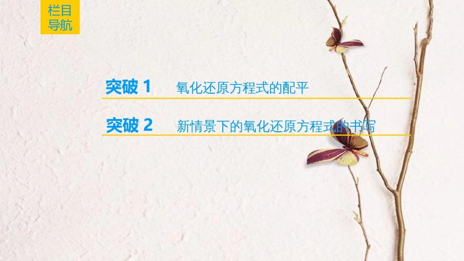 （全国通用）2019版高考化学一轮复习 第2章 化学物质及其变化 专项突破4 氧化还原方程式的配平与新情景下的书写课件_第2页