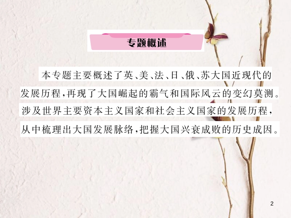 （河北专版）中考历史总复习 专题6 大国兴衰历程课件_第2页