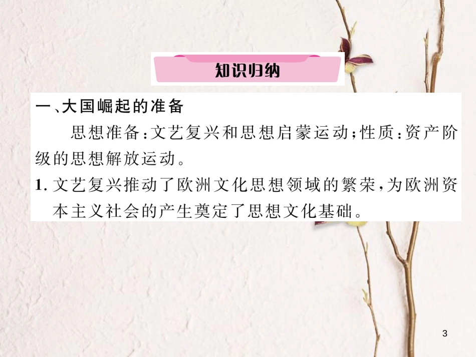 （河北专版）中考历史总复习 专题6 大国兴衰历程课件_第3页