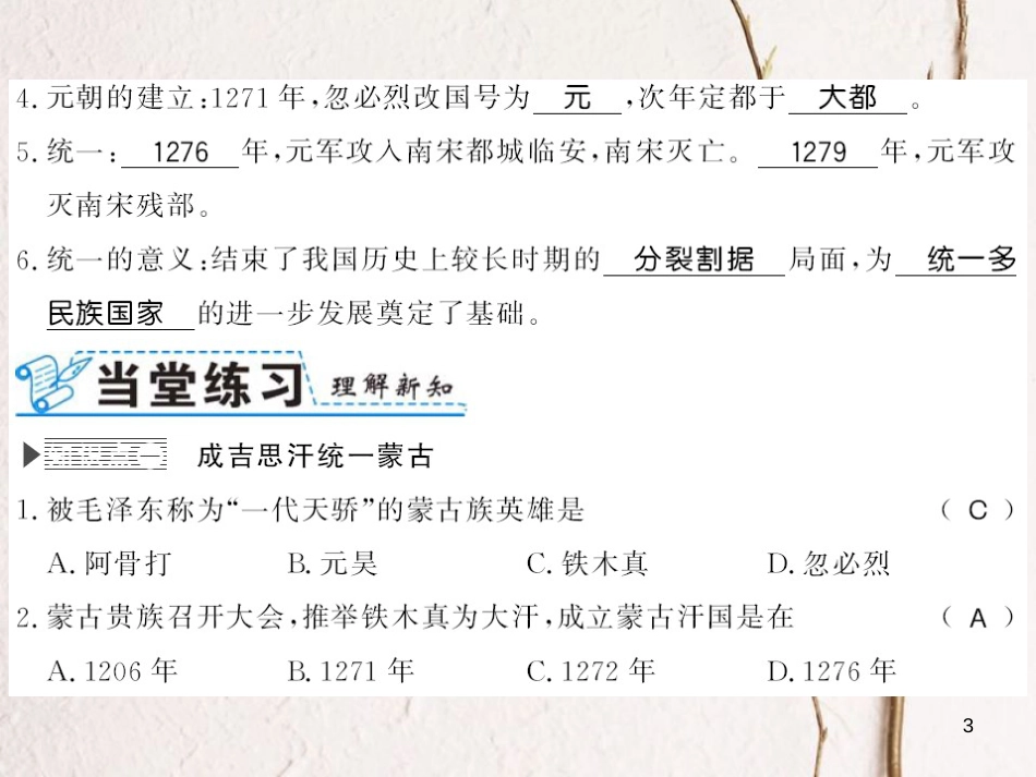 （北部湾专版）七年级历史下册 第二单元 辽宋夏金元时期：民族关系发展和社会变化 第10课 蒙古族的兴起与元朝的建立习题课件 新人教版_第3页