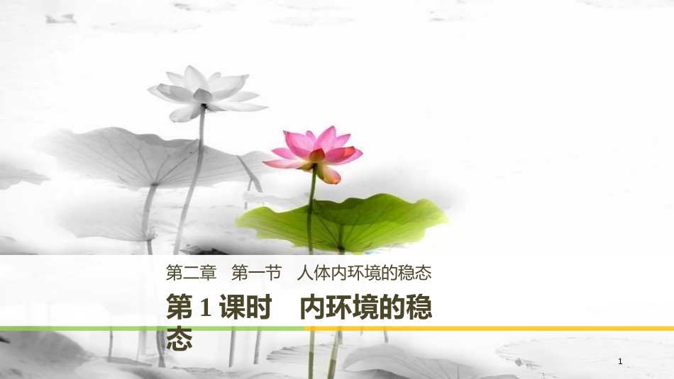 高中生物 第2章 细胞的化学组成 2.1.1 内环境的稳态课件 苏教版必修1_第1页