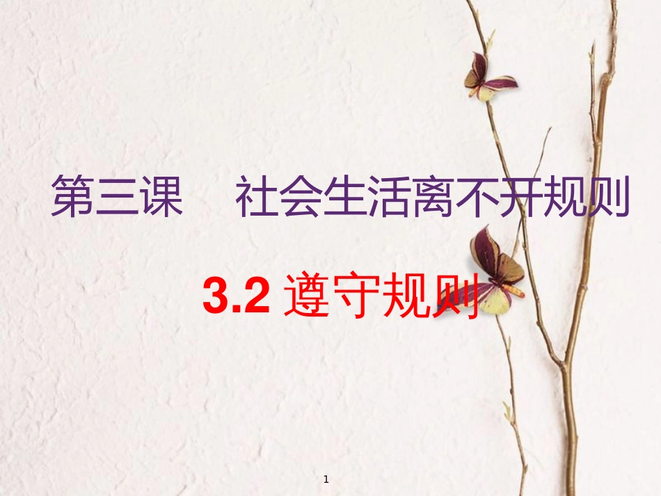 广东省河源市八年级道德与法治上册 第二单元 遵守社会规则 第三课 社会生活离不开规则 第2框《遵守规则》课件 新人教版_第1页