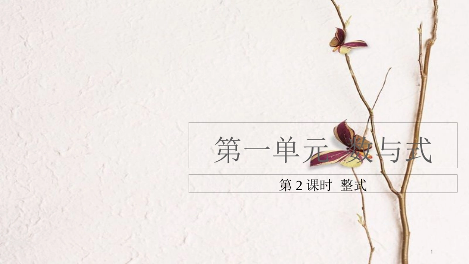 （安徽专用）中考数学复习 1.2 整式课件_第1页