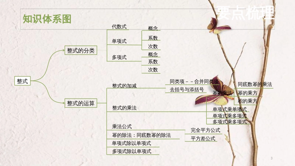 （安徽专用）中考数学复习 1.2 整式课件_第3页