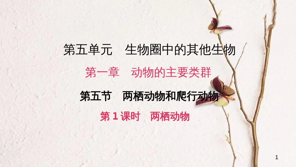 八年级生物上册 第五单元 第一章 第五节 两栖动物和爬行动物（第1课时 两栖动物）课件 （新版）新人教版_第1页