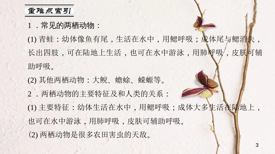 八年级生物上册 第五单元 第一章 第五节 两栖动物和爬行动物（第1课时 两栖动物）课件 （新版）新人教版_第3页