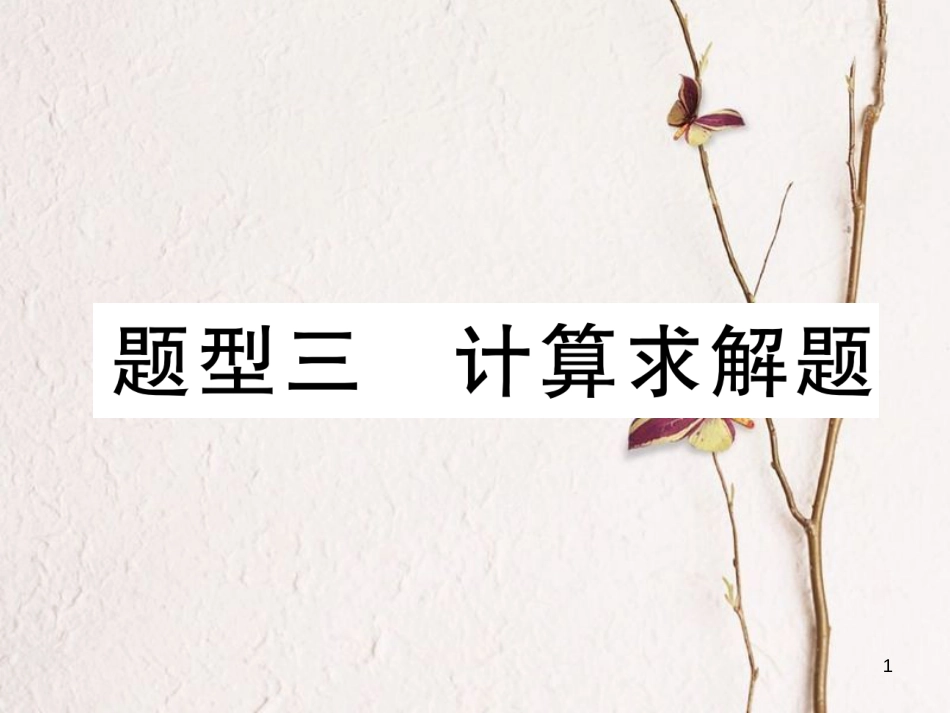 （青海专版）中考数学复习 第2编 专题突破篇 题型3 计算求解题（精讲）课件_第1页