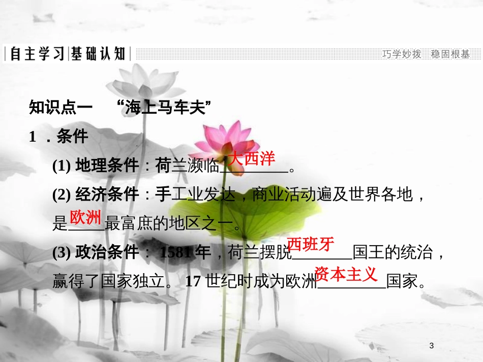 高中历史 第二单元 资本主义世界市场的形成和发展 第6课 殖民扩张与世界市场的拓展课件 新人教版必修2_第3页