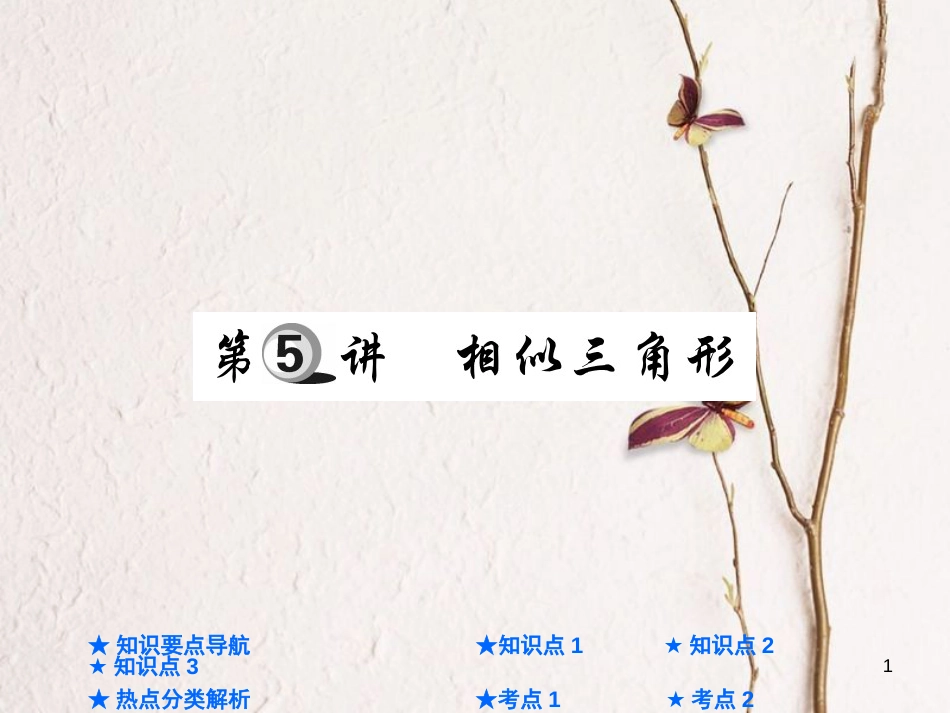 中考数学总复习 第一部分 基础知识复习 第4章 图形的认识及三角形 第5讲 相似三角形课件_第1页