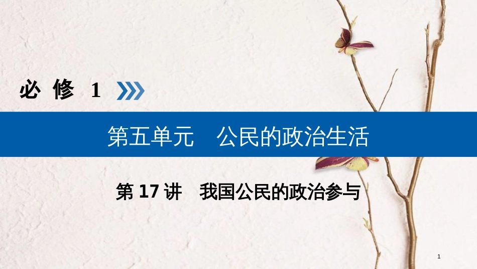 （全国通用版）2019版高考政治一轮复习 第五单元 公民的政治生活 第17讲 我国公民的政治参与课件_第1页