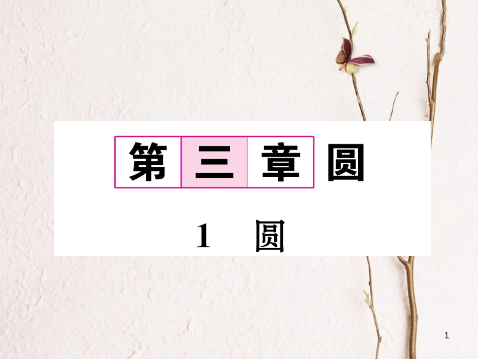九年级数学下册 第3章 圆 1 圆作业课件 （新版）北师大版_第1页