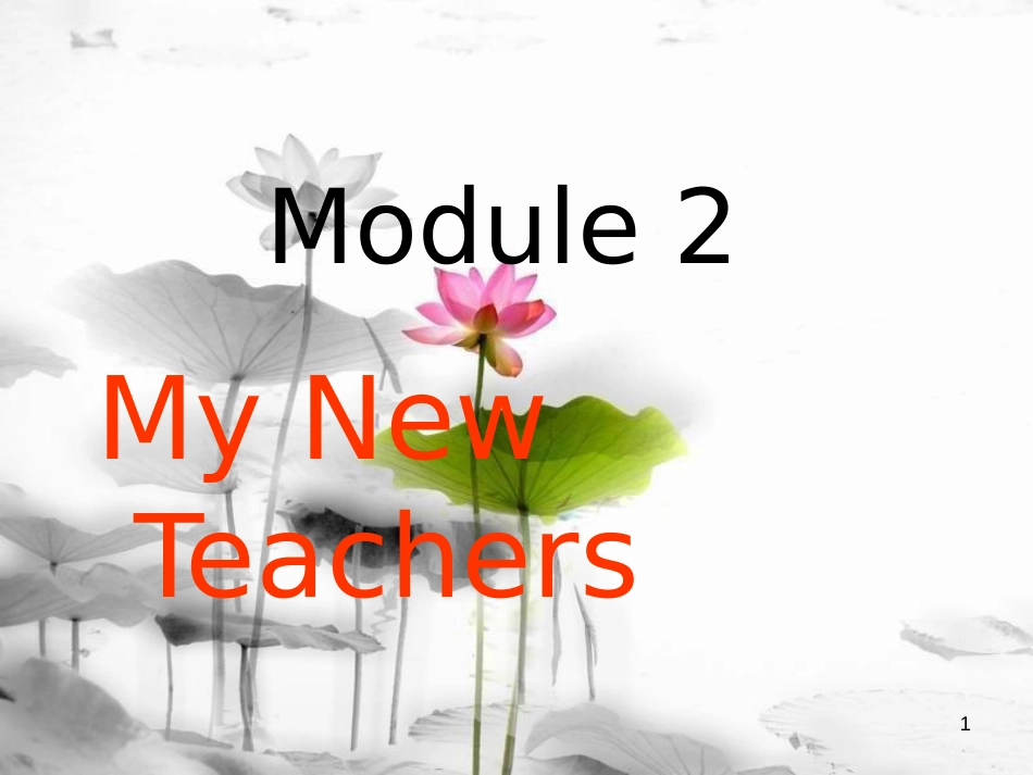 高中英语 Module 2 My New Teachers Grammar课件2 外研版必修1_第1页