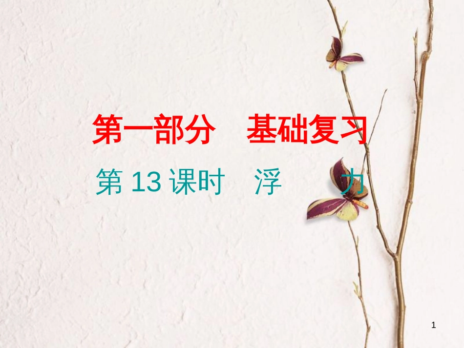 广东省中考物理总复习 第一部分 基础复习 第13课时 浮力课后作业课件_第1页