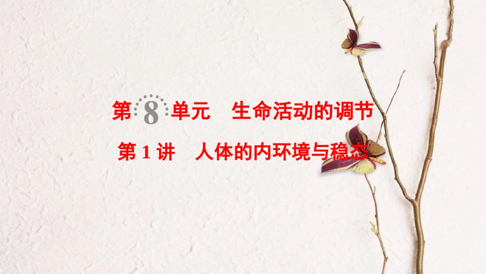 （全国版）2019版高考生物一轮复习 第8单元 生命活动的调节 第1讲 人体的内环境与稳态课件_第1页