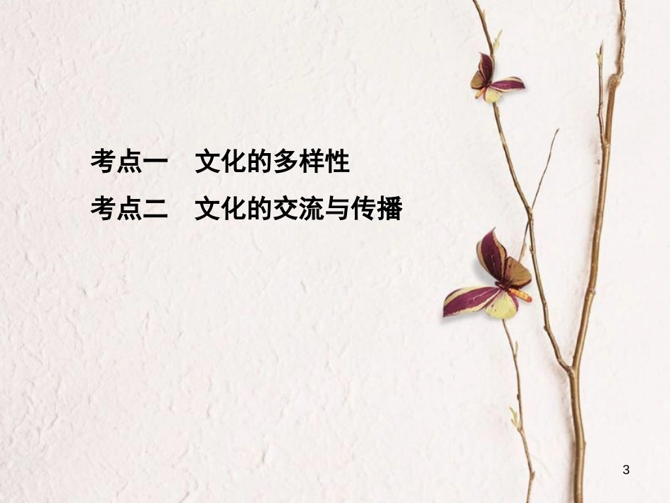 2019届高考政治一轮复习 第十单元 文化传承与创新 第23课时 文化的多样性与文化传播课件 新人教版必修3_第3页