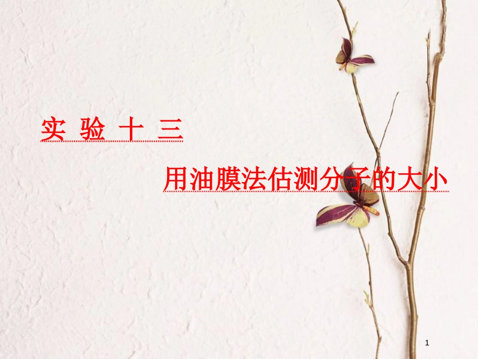 2019届高考物理一轮复习 第十三章 热学 实验十三 用油膜法估测分子的大小课件_第1页