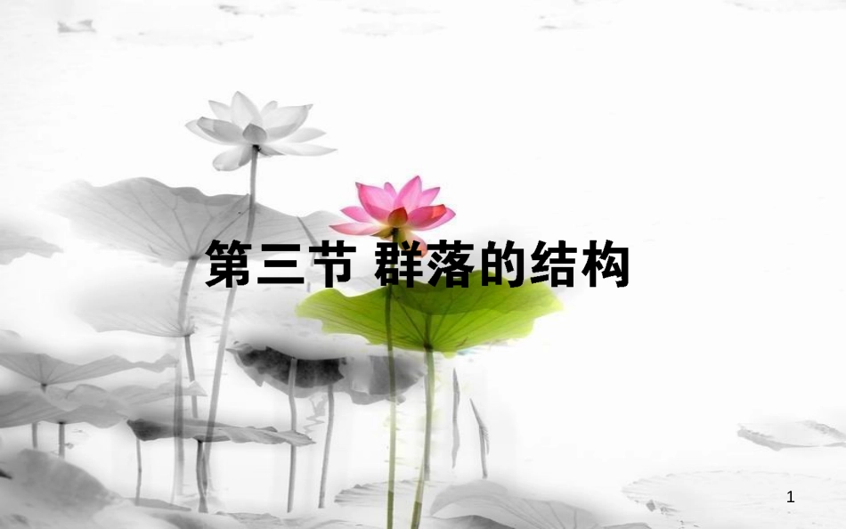高中生物 第4章 种群和群落 4.3 群落的结构习题课件 新人教版必修3_第1页