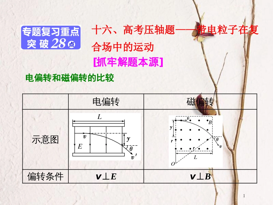 版高考物理二轮复习 第一部分 专题三 电场与磁场 十六、高考压轴题——带电粒子在复合场中的运动课件_第1页