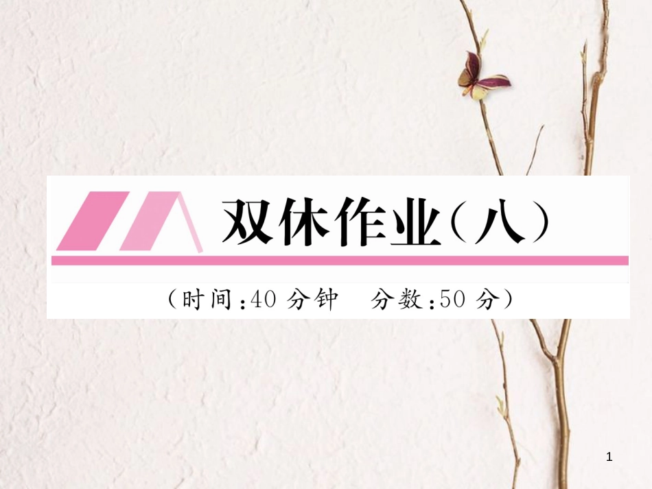 九年级化学下册 双休作业（八）作业课件 （新版）新人教版_第1页