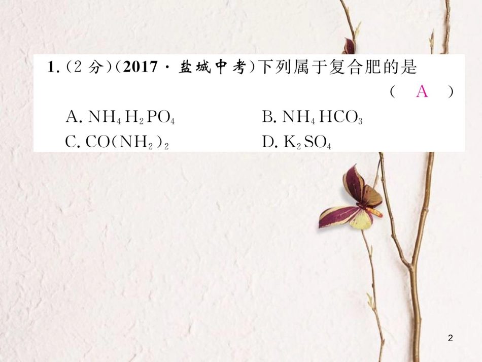 九年级化学下册 双休作业（八）作业课件 （新版）新人教版_第2页