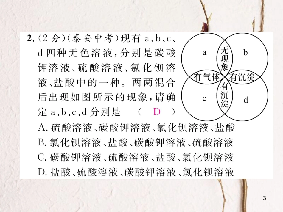 九年级化学下册 双休作业（八）作业课件 （新版）新人教版_第3页