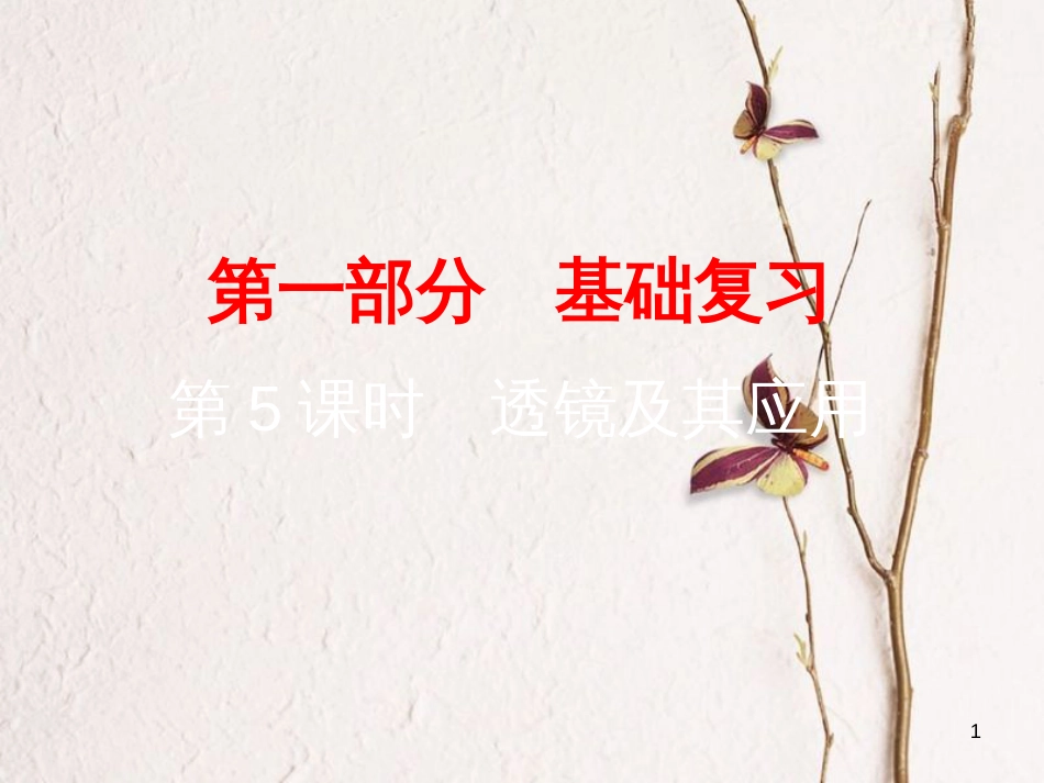 广东省中考物理总复习 第一部分 基础复习 第5课时 透镜及其应用课后作业课件_第1页