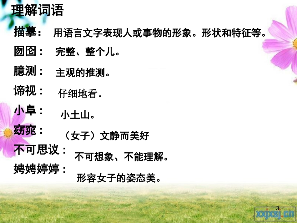 六年级语文上册 第七单元 黄山松课件3 湘教版_第3页
