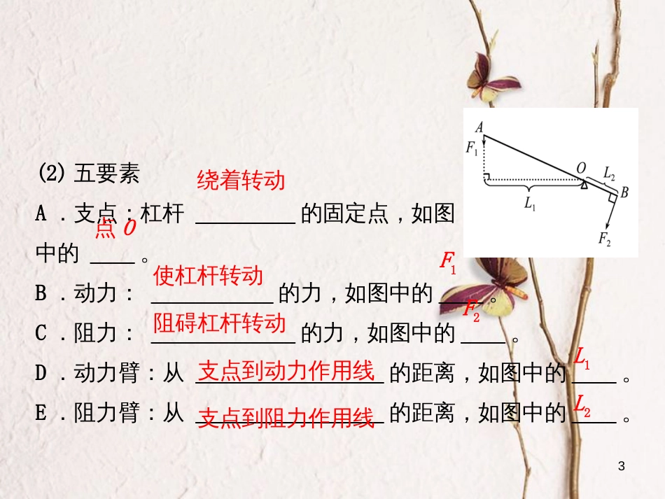 中考物理 八年级 第十一、十二章课件_第3页