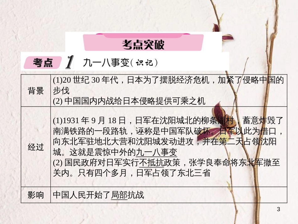 （青海专版）中考历史总复习 第一编 教材知识梳理 第11讲 中华民族的抗日战争课件_第3页