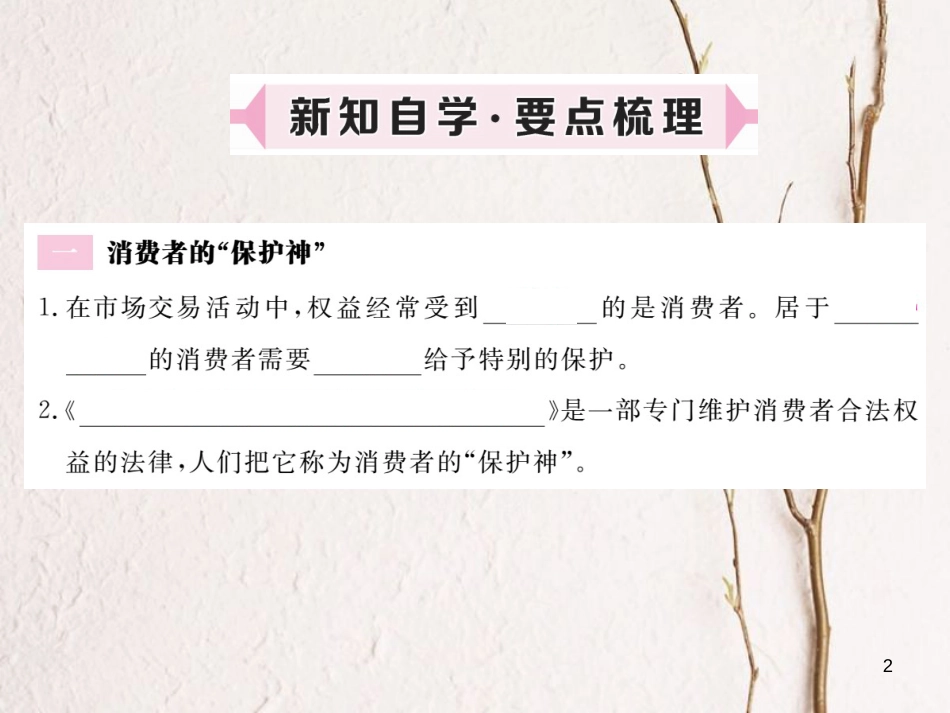 八年级道德与法治上册 第三单元 法律在我心中 第十课 维护消费者权利 第1框《消费者的“保护神”消费者的权利》习题课件 人民版_第2页