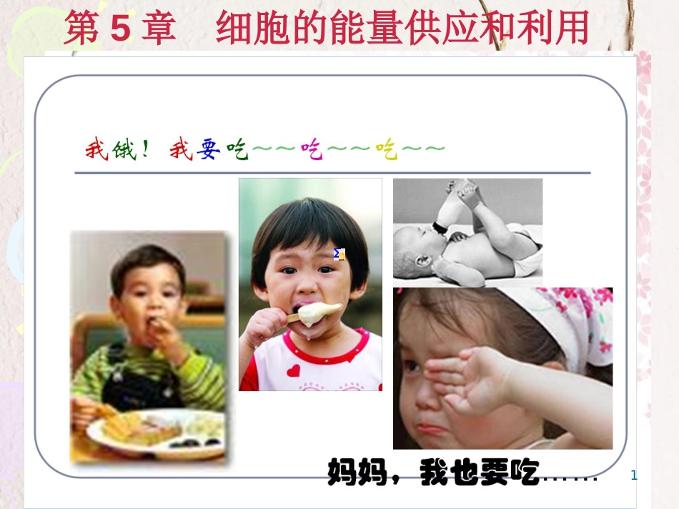 河北省南宫市高中生物 第五章 细胞的能量供应和利用 5.1 降低化学反应活化能的酶（第1课时）课件 新人教版必修1_第1页