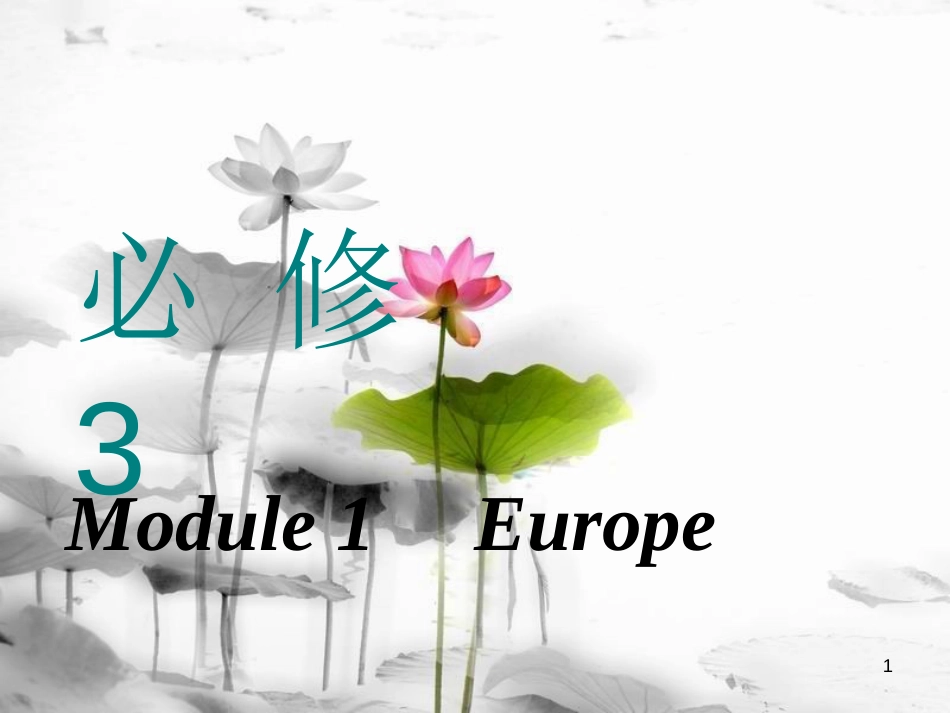 高考英语一轮复习 Module 1 Europe课件 外研版必修3_第1页