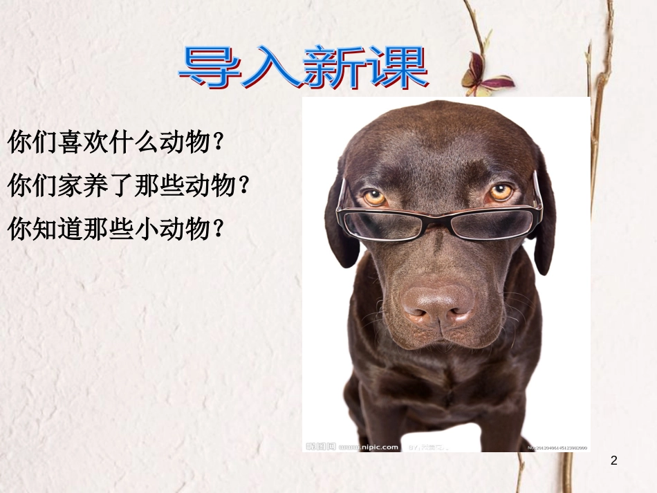 九年级语文上册 第九课《我喜爱小动物》课件3 新疆教育版_第2页