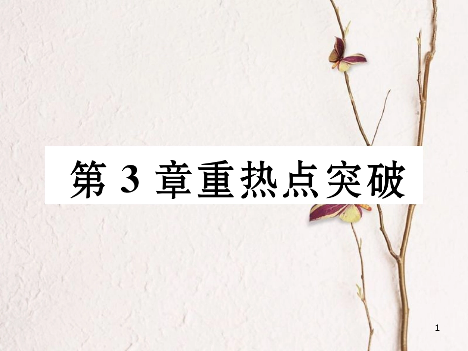 九年级数学下册 第3章 投影与视图重热点突破作业课件 （新版）湘教版_第1页