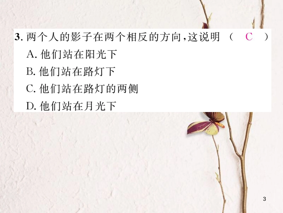 九年级数学下册 第3章 投影与视图重热点突破作业课件 （新版）湘教版_第3页