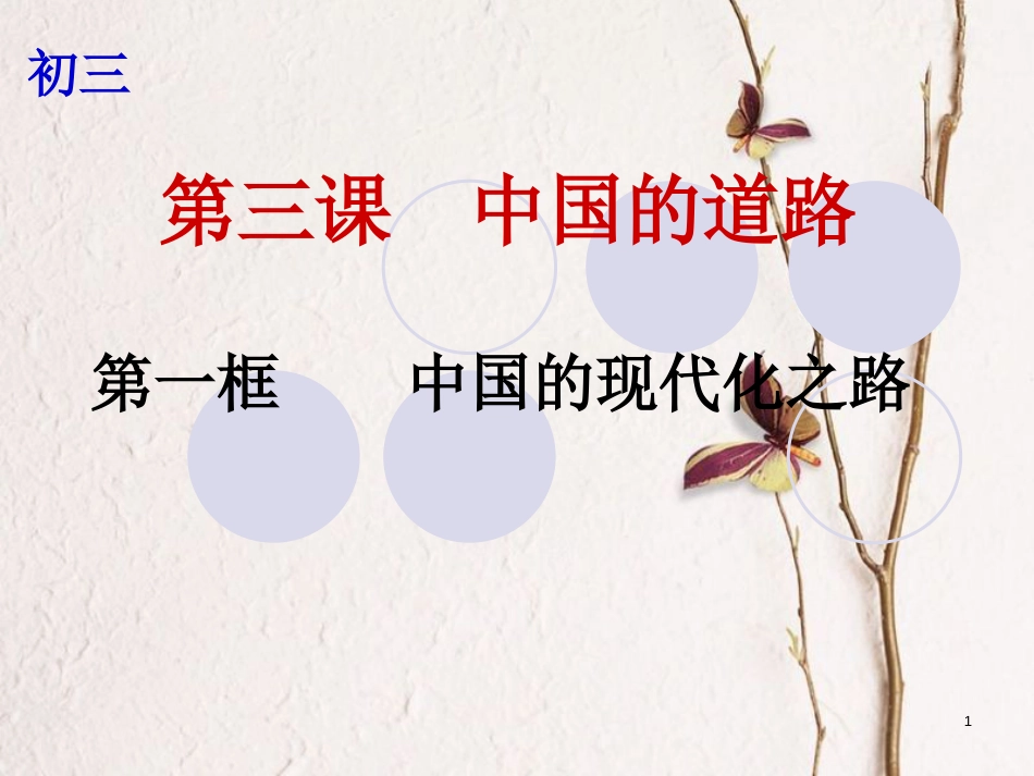 云南省个旧市九年级政治全册 第一单元 世界大舞台 第三课 中国的道路 第1框 中国的现代化之路课件 人民版_第1页