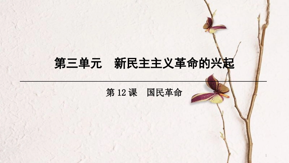 八年级历史上册 第3单元 新民主主义革命的兴起 第12课 国民革命课件 北师大版_第1页