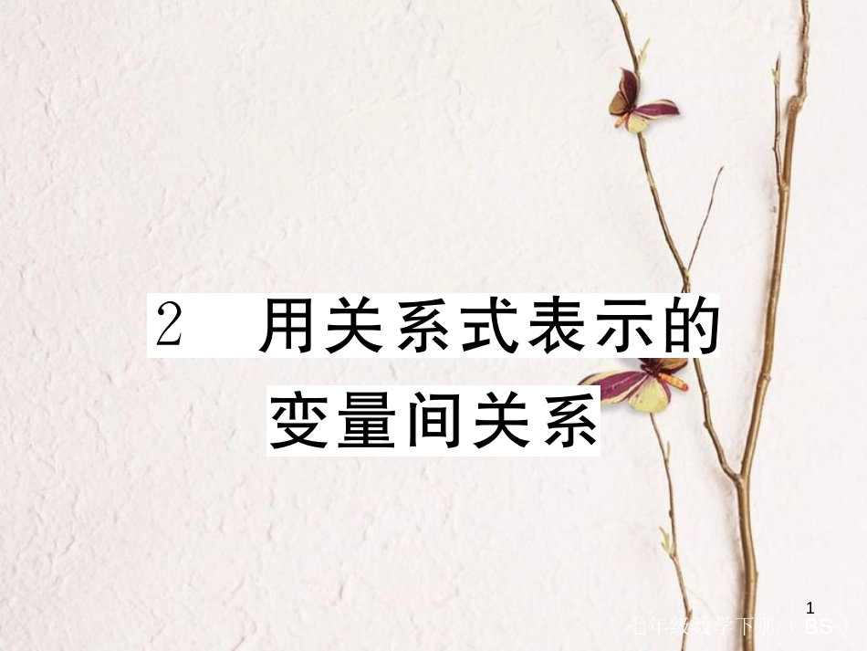 七年级数学下册 第三章 变量之间的关系 3.2 用关系式表示的变量间关系练习课件 （新版）北师大版_第1页
