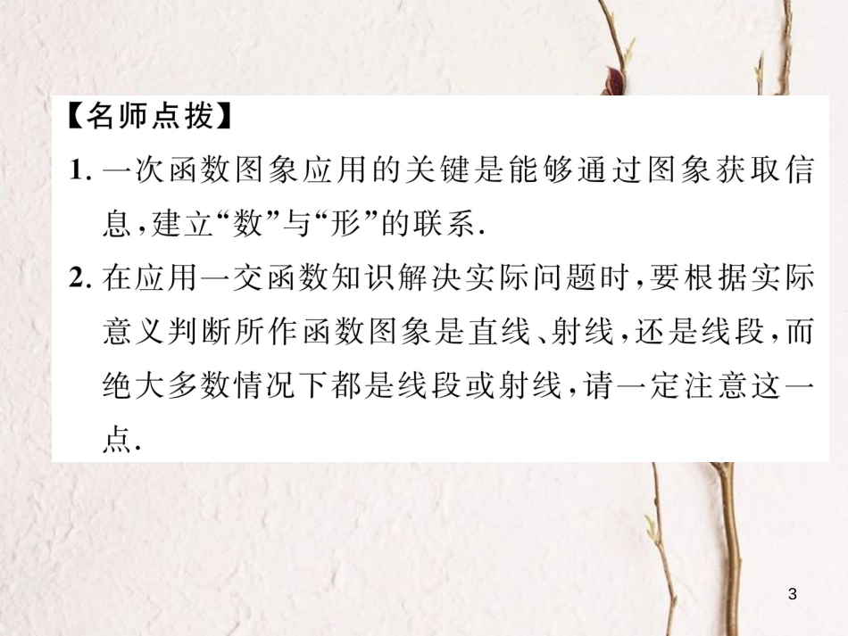 （成都专版）八年级数学上册 4.4 一次函数的应用（2）习题课件 （新版）北师大版_第3页