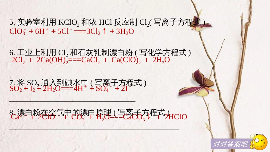高中化学二轮复习 回扣基础八 经典方程式再书写课件_第3页