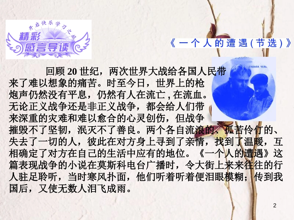 （浙江专用）高中语文 第二专题 第5课 一个人的遭遇（节选）课件 苏教版必修2_第2页