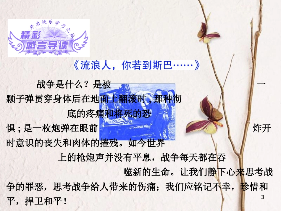 （浙江专用）高中语文 第二专题 第5课 一个人的遭遇（节选）课件 苏教版必修2_第3页