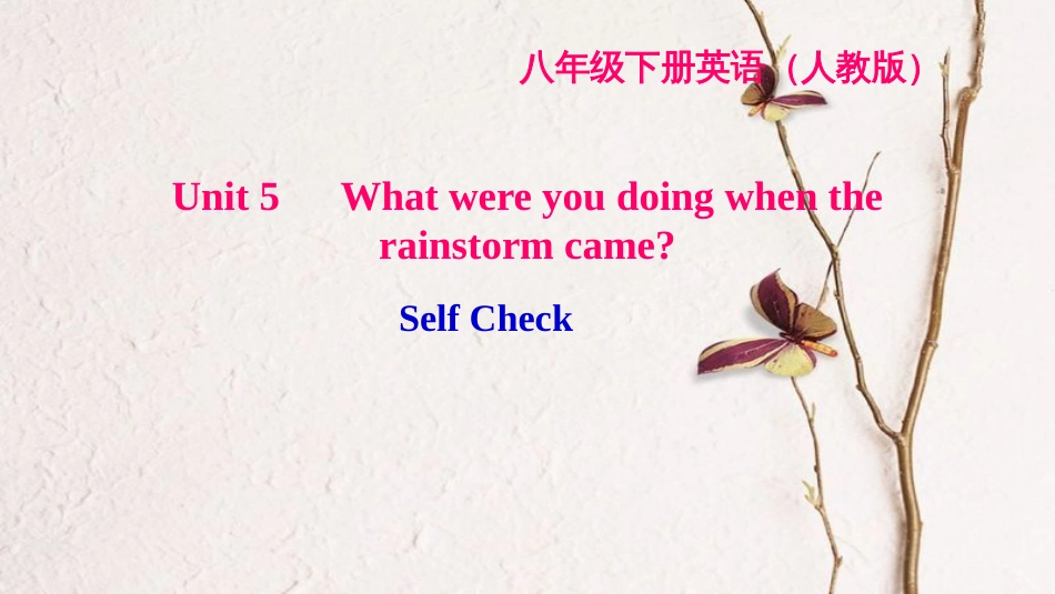 八年级英语下册 Unit 5 What were you doing when the rainstorm came Self Check习题课件 （新版）人教新目标版_第1页